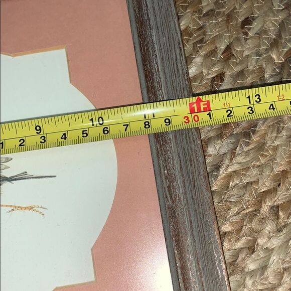 Bird art by Carolyn Shores Wright - Picture 6 of 8